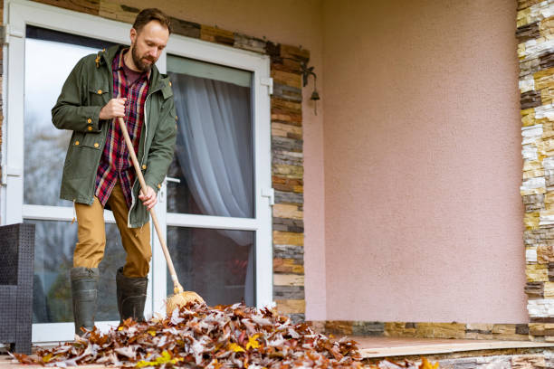 Best Electronics Removal Services  in Mccrory, AR